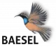 Baesel
